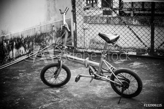 Picture of Folding bike with black and white photography 
